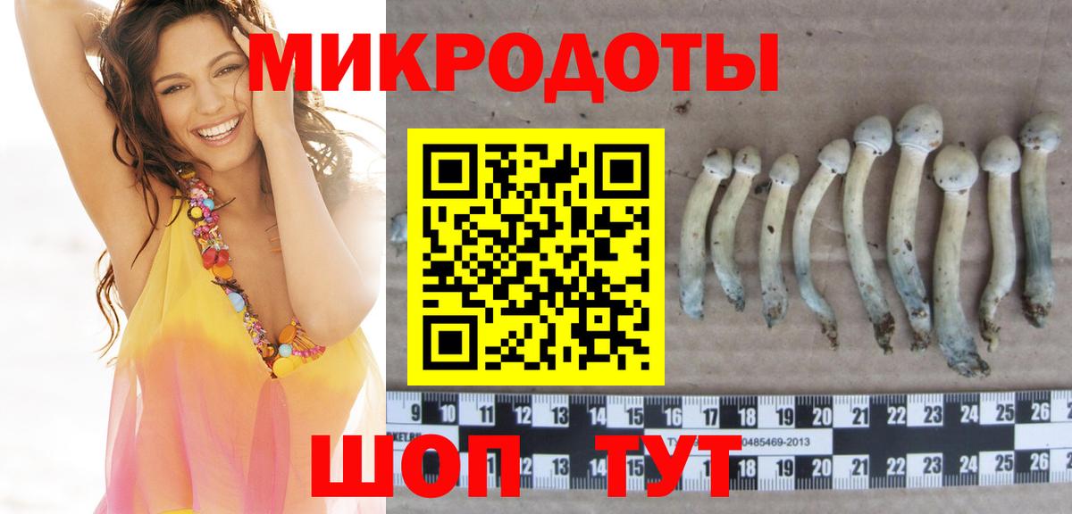 Псилоцибиновые грибы мицелий Бахчисарай
